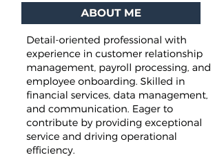 ATS-Friendly Resume/ CV Templates: How to Make an ATS-Friendly Resume with ChatGPT and Get a 90+ Score professional summary